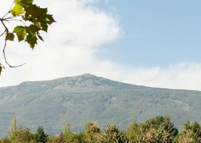 Cappuccino Апартаменты *