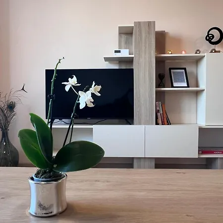 Cappuccino Apartament